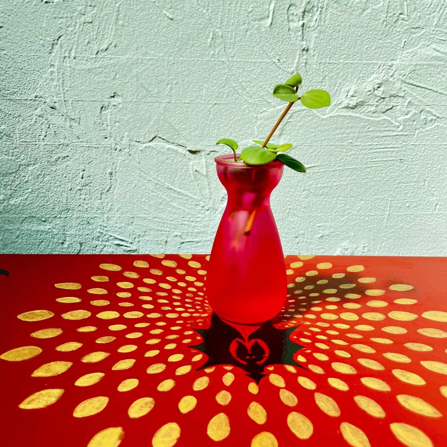 Fall Inspired Plant Propagation Set - Red Glass Sake Bottle & Peperomia Hope Cuttings