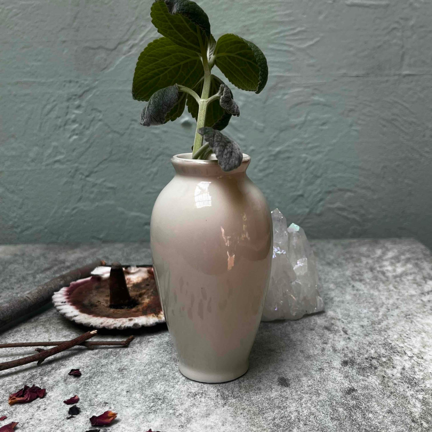 Peacock's Pride: Mini Vintage Vase & Silver Spurflower - A Beacon of Self-Confidence