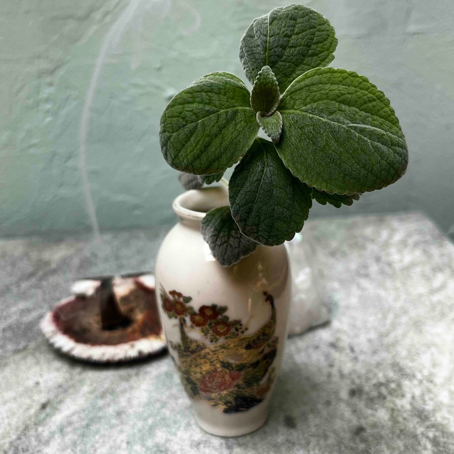 Peacock's Pride: Mini Vintage Vase & Silver Spurflower - A Beacon of Self-Confidence