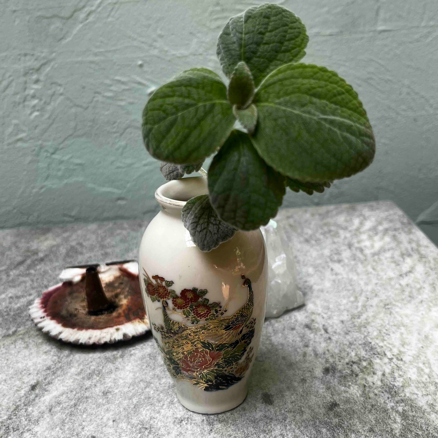 Peacock's Pride: Mini Vintage Vase & Silver Spurflower - A Beacon of Self-Confidence