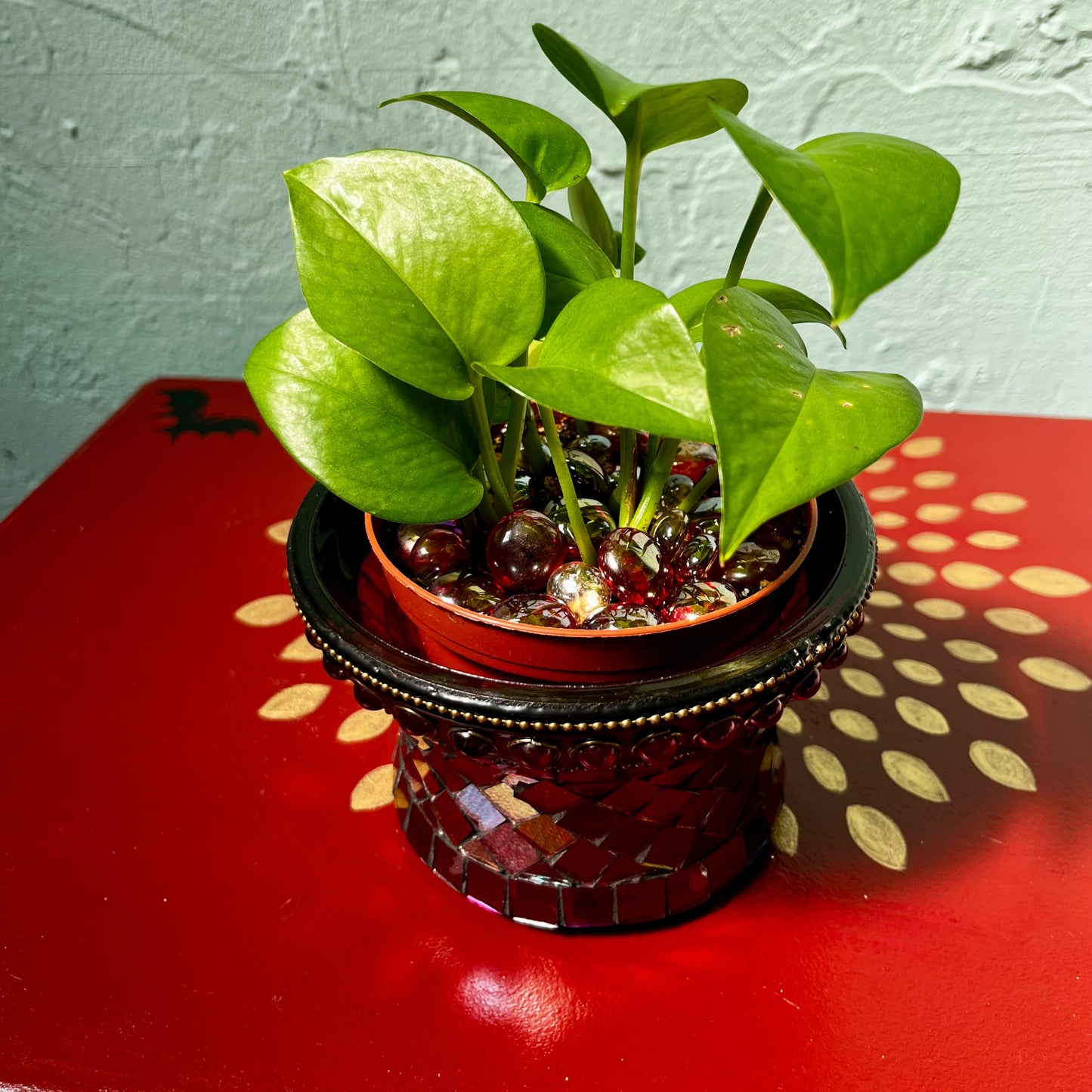 Radiant Ruby Mosaic Pothos Houseplant Magick