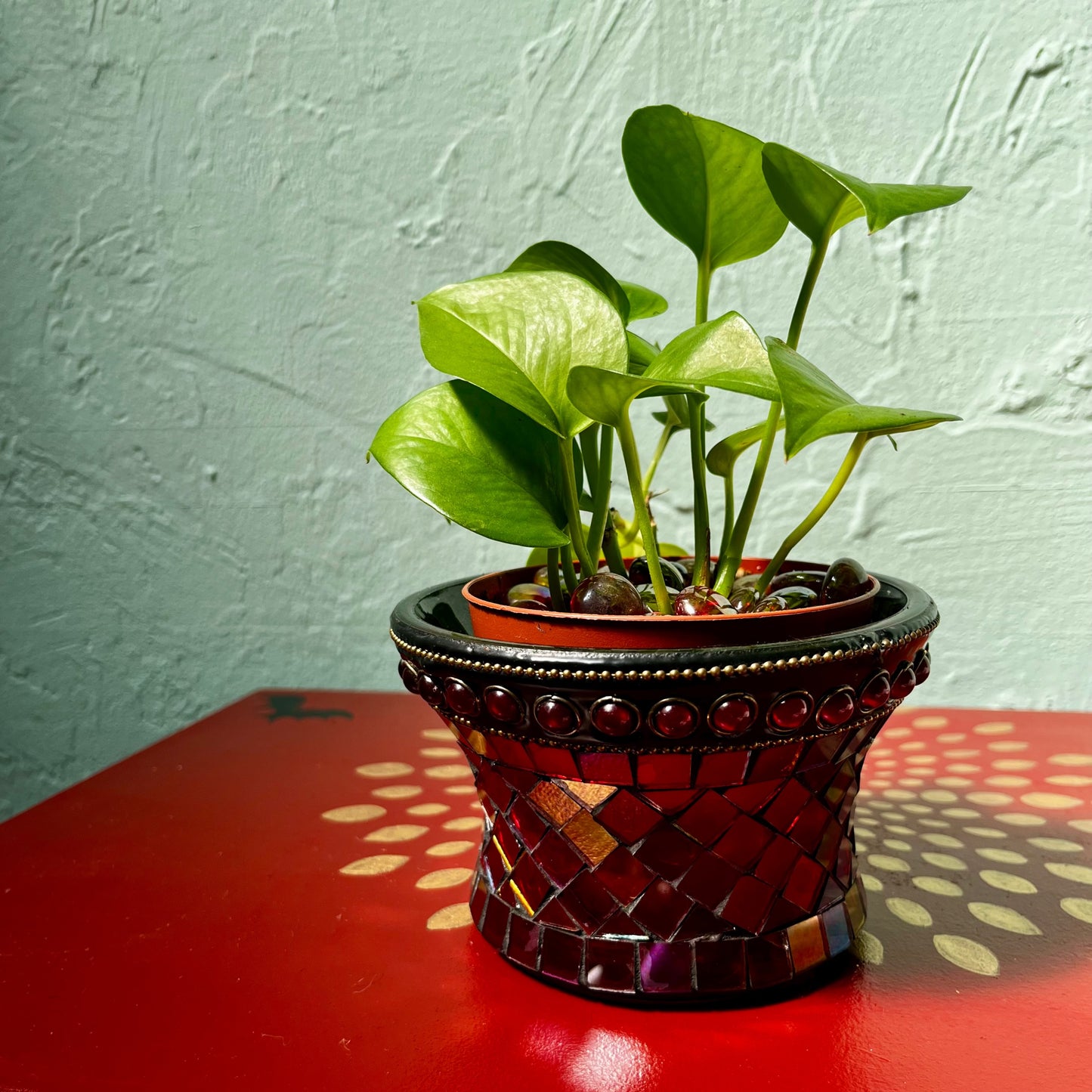 Radiant Ruby Mosaic Pothos Houseplant Magick